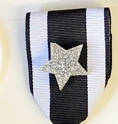 Pin Brooch