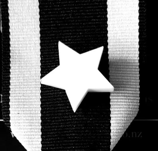 Pin Brooch